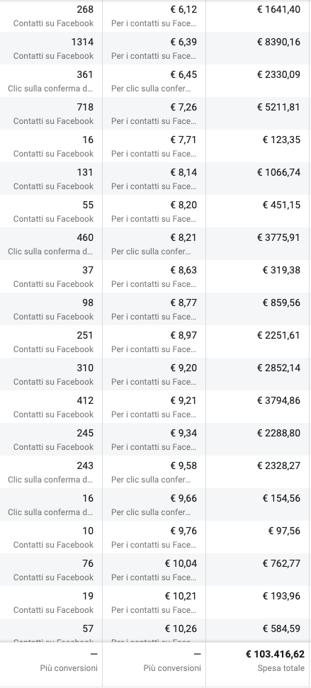 11.376 contatti a 9,09€, importo speso 103.416,62€, fatturato 1 milione circa